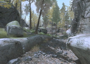 cod4